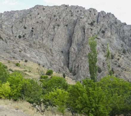دره‌ باغ بیرجند: نگین سبز در دل کویر